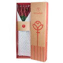 Caja Natural con 15 Rosas Rosatel