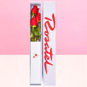 Caja Rosatel con 3 Rosas Rosatel