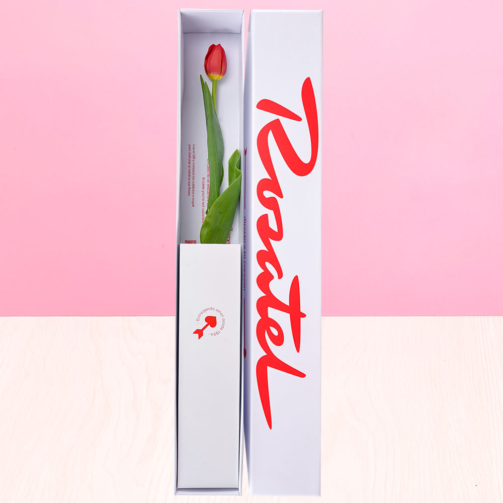 Caja Rosatel con 1 Tulipán Rosatel