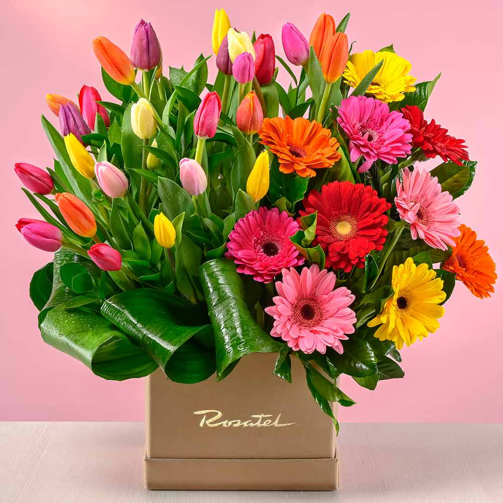 Arreglos florales Emilia Rosatel