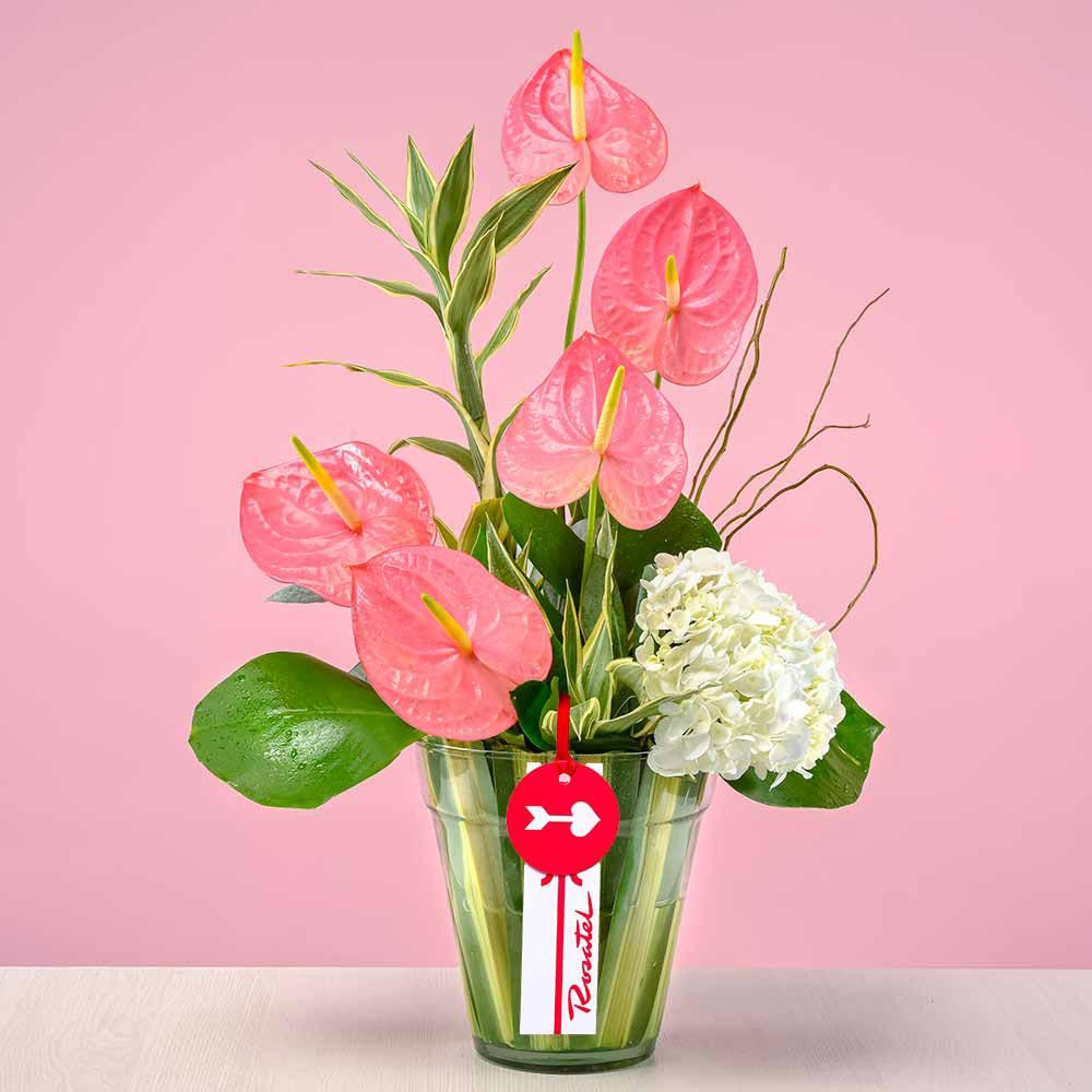 Arreglo floral de anturios Rosatel