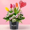 Mini arreglo floral tulipanes de amor Rosatel