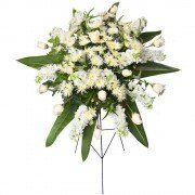Lágrima c/ Trípode con Verónica Rosa de Chacra y Flores Varias