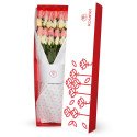 Caja blanca con 24 Rosas Rosadas y Cremas Rosatel