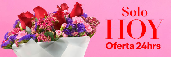 oferta 24 horas