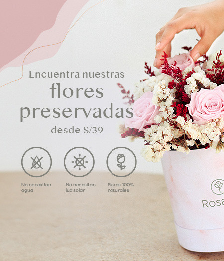 Florería Rosatel Lima| Envío de flores, peluches y regalos a