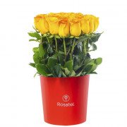 Sombrerera Roja Grande con 25 Rosas