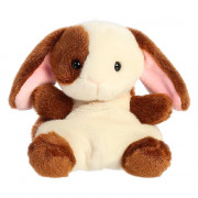 Conejo Clover