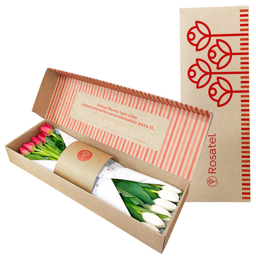 Caja Nueva Edición con 12 Tulipanes Bicolor Rosatel