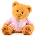 Hugo Huellitas Rosado Rosatel