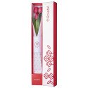 Caja Blanca con 3 Tulipanes Rosatel
