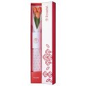 Caja Blanca con 3 Tulipanes Rosatel