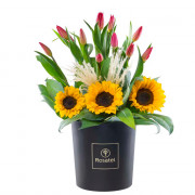 Sombrerera Negra Grande con 12 Tulipanes y Girasoles