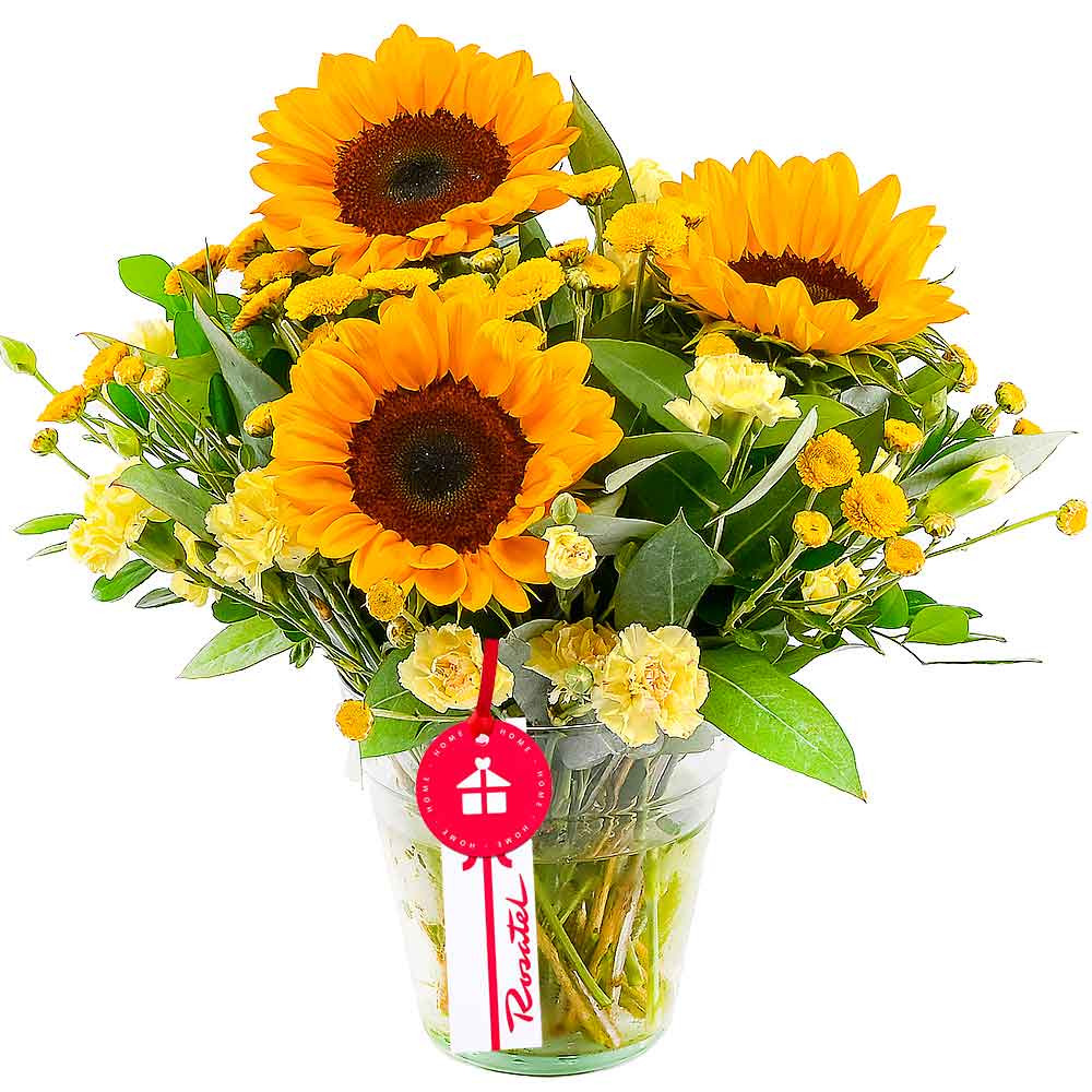 Arreglo Resplandor de Girasoles Rosatel