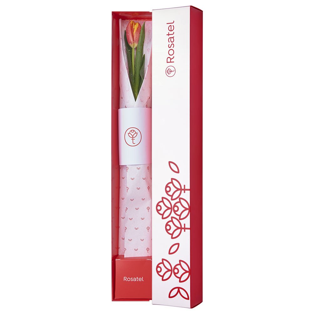 Caja Blanca con un tulipán