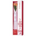 Caja blanca con dos tulipanes
