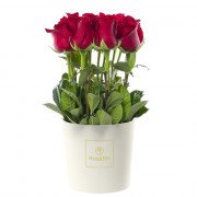Sombrerera Crema Mediana con 15 Rosas