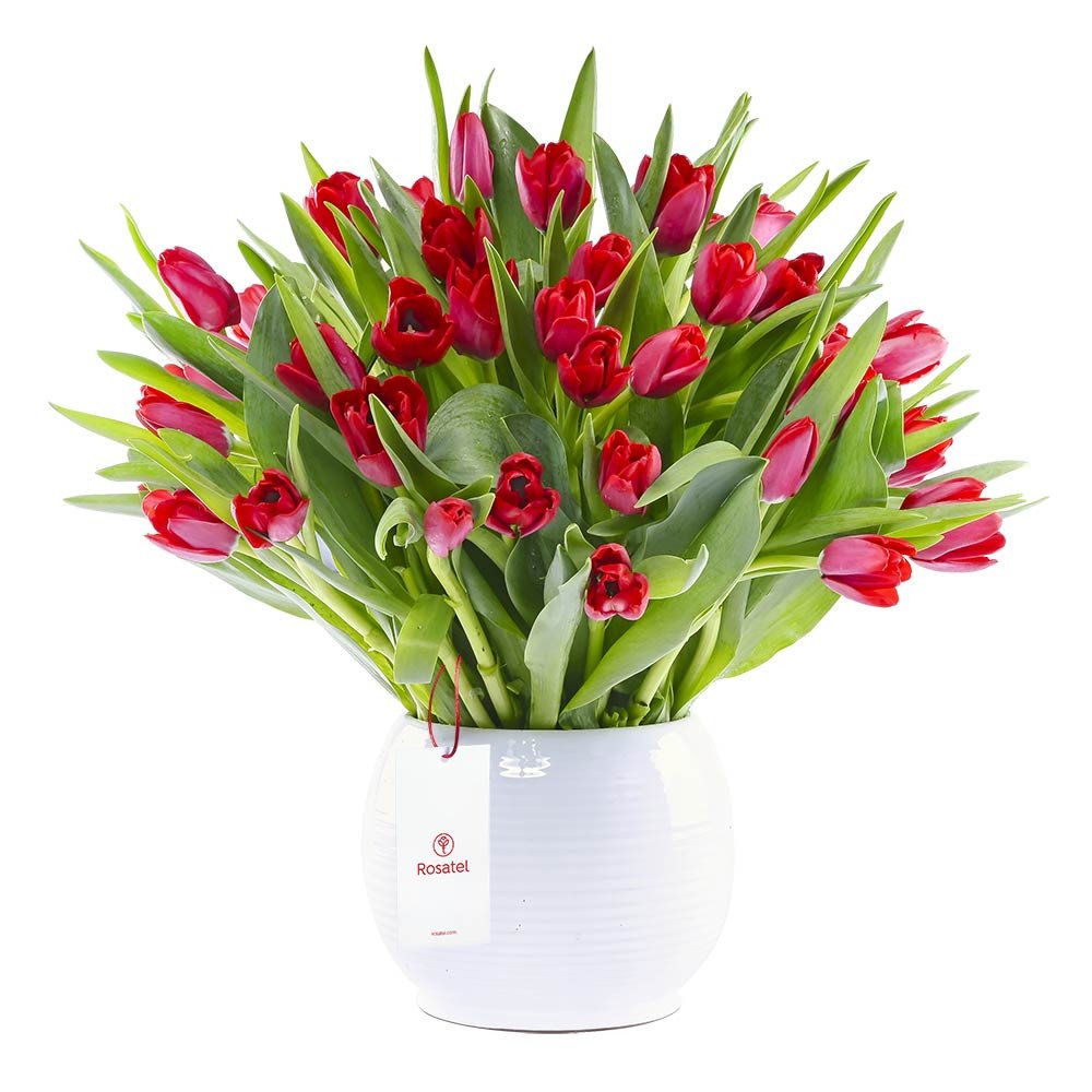 Arreglo con 50 Tulipanes Rojos Rosatel