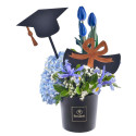 Arreglo Graduación Sombrerera Negra con Tulipanes Azules Rosatel