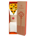 Caja natural con 6 Girasoles Rosatel