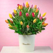 Sombrerera Crema Grande con 40 Tulipanes
