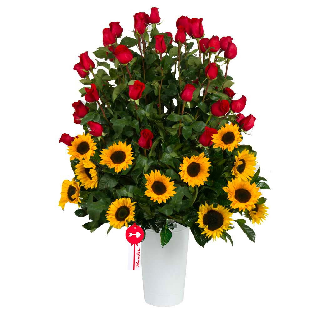 Arreglo Armonía Floral 60 Rosas Rojas y Girasoles Rosatel