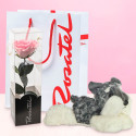 Florería online rosa preservada rosada y peluche perrito Rosatel