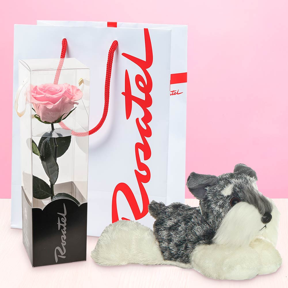 Florería online rosa preservada rosada y peluche perrito Rosatel