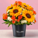 Mini arreglo floral sunshine Rosatel