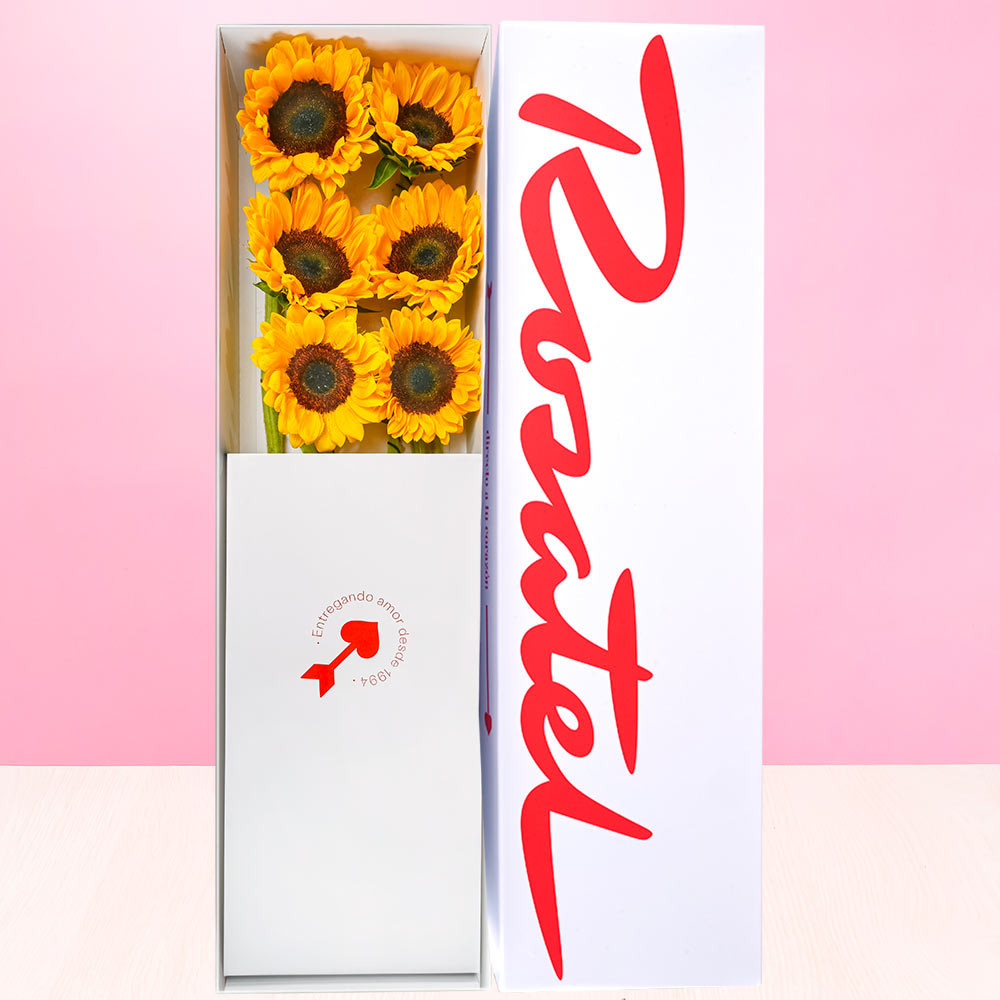 Compra online 6 girasoles en caja Rosatel